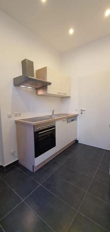 Goldfisch Apartment Am Augartenpark Вена